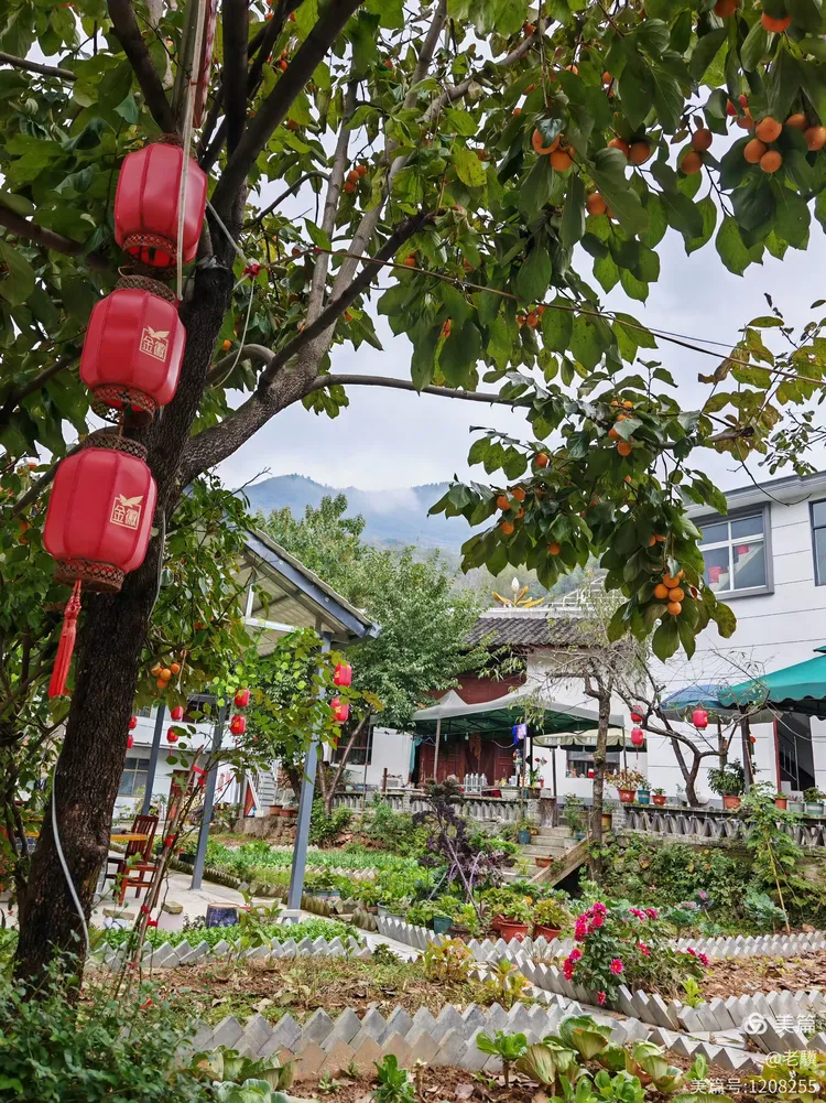 金秋陇南康县花桥村探访